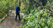 ДУКи пяти районов Нижнего Новгорода убрали более 200 деревьев после непогоды